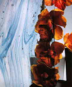 SGG Arte Â® (Altdeutsch Arte), Abstand 80cm